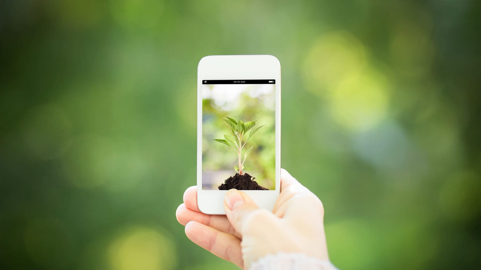 Earth Day photo